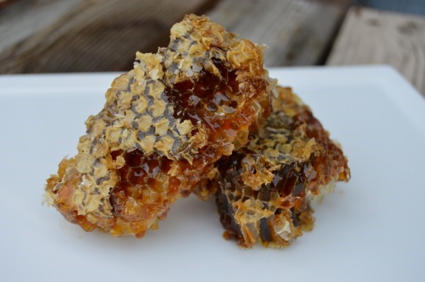  Kallas Honey Jacksonville FL 32231